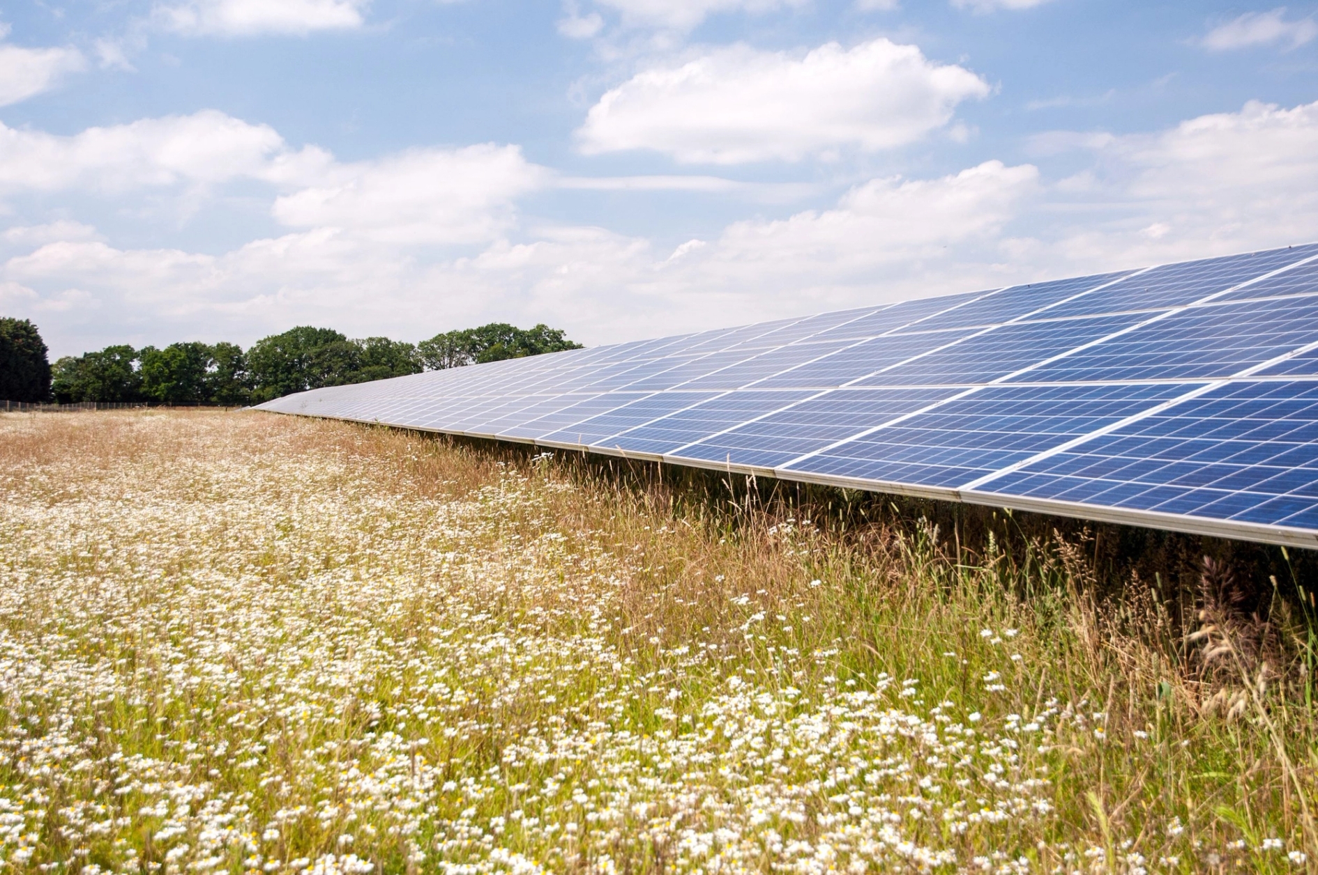Solar Farm Projects | Solar Power Investments | Low Carbon