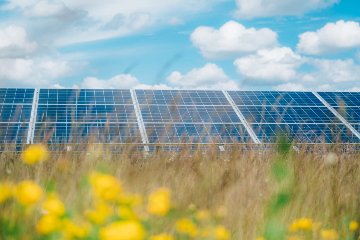 Low Carbon solar farm with wildflower meadow
