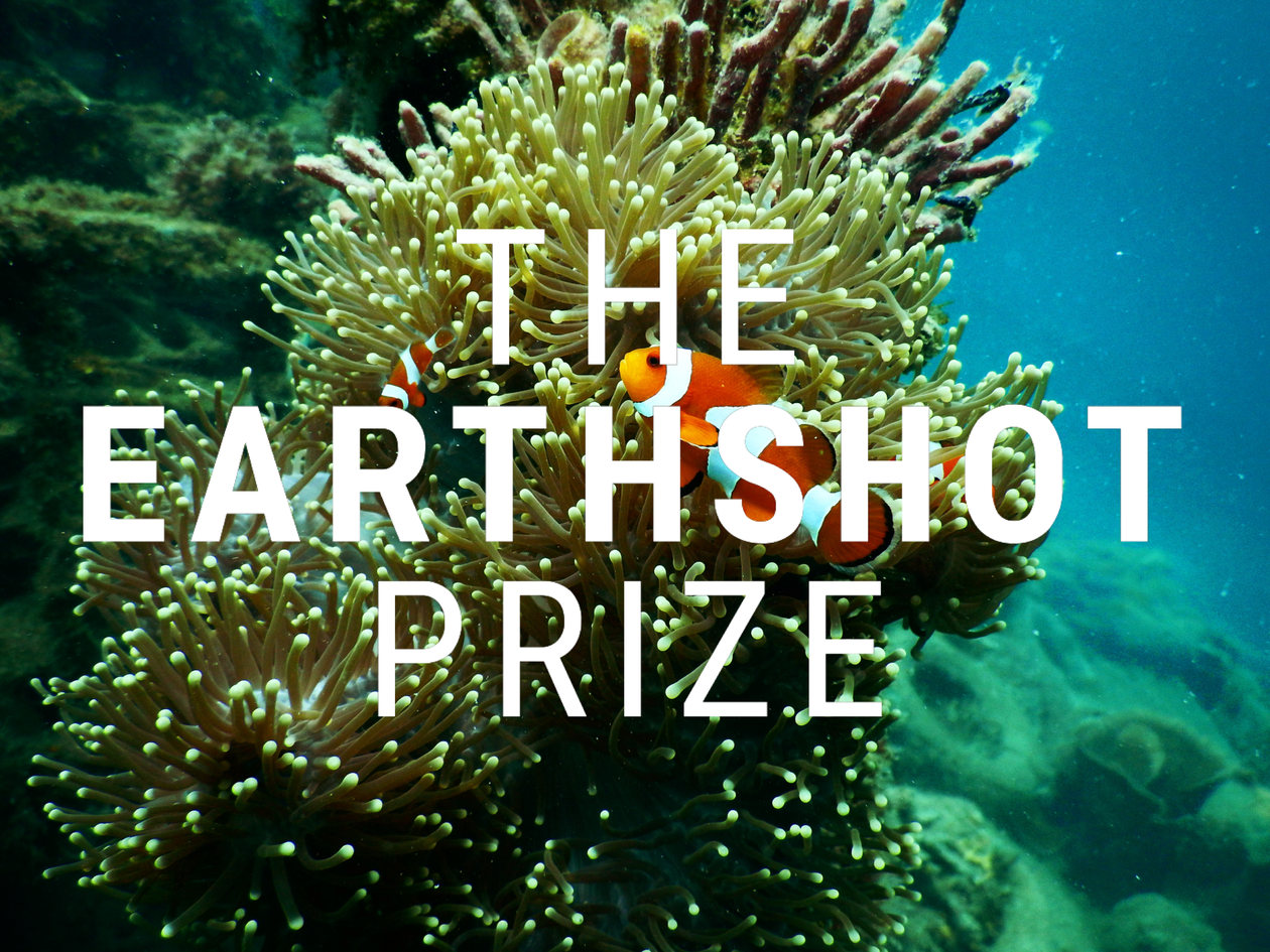 The Earthshot Prize logo over a background showing a coral reef