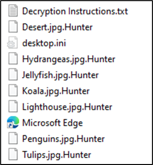 Ransom note "Decryption Instructions.txt" and encrypted files with the ".Hunter" extension.