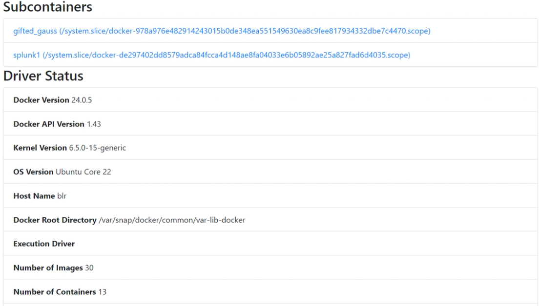 Figure 4. List of Docker containers and host information as seen on the web UI