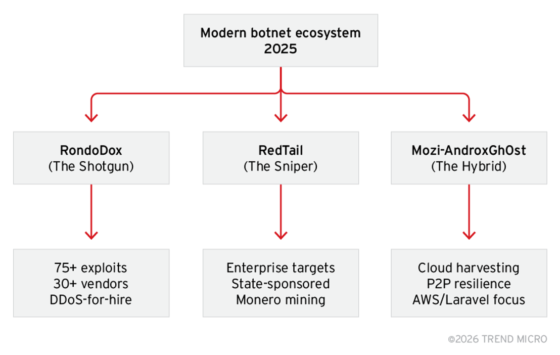 Figure 1. Botnet operational archetypes showing the divergence between mass-scale exploitation (RondoDox), enterprise targeting (RedTail), and hybrid cloud–focused campaigns (Mozi-AndroxGh0st)