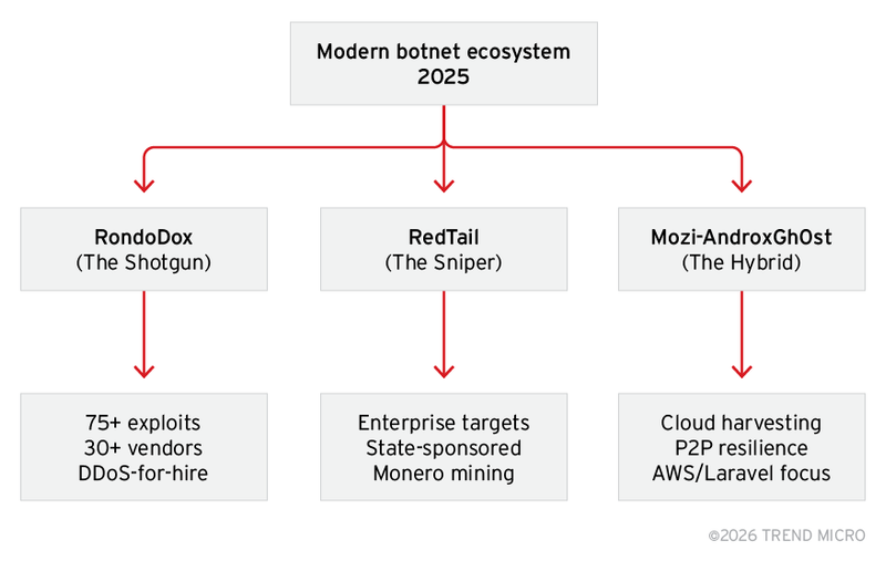 Figure 1. Botnet operational archetypes showing the divergence between mass-scale exploitation (RondoDox), enterprise targeting (RedTail), and hybrid cloud–focused campaigns (Mozi-AndroxGh0st)