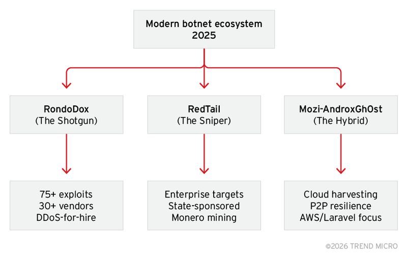 Figure 1. Botnet operational archetypes showing the divergence between mass-scale exploitation (RondoDox), enterprise targeting (RedTail), and hybrid cloud–focused campaigns (Mozi-AndroxGh0st)