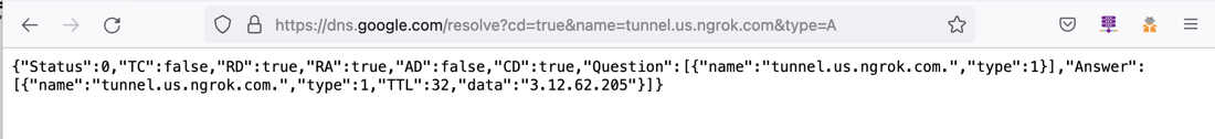 Figure 11. A screenshot of dns.google.com looking up tunnel.us.ngrok.com