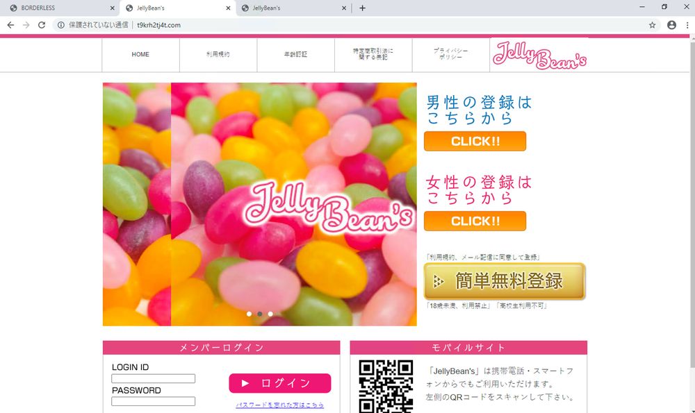Figure 3. Different websites with exactly the same layout