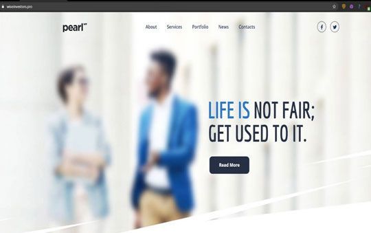 The wiseinvestors[.]pro company page