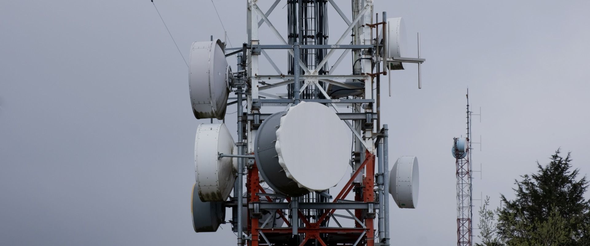 Cellular IoT Vulnerabilities: Another Door to Cellular Networks