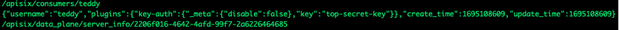 Figure 8. The API key exposed in plaintext within the etcd configuration.