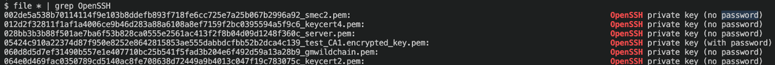 Figure 11. Leaked and unprotected SSH private keys