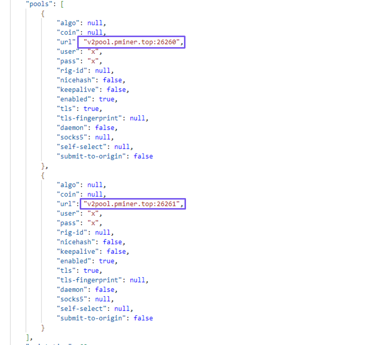 Figure 16. Wallet information from the JSON file