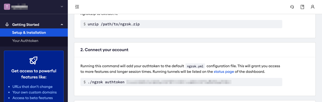 Figure 7. A screenshot of the ngrok website