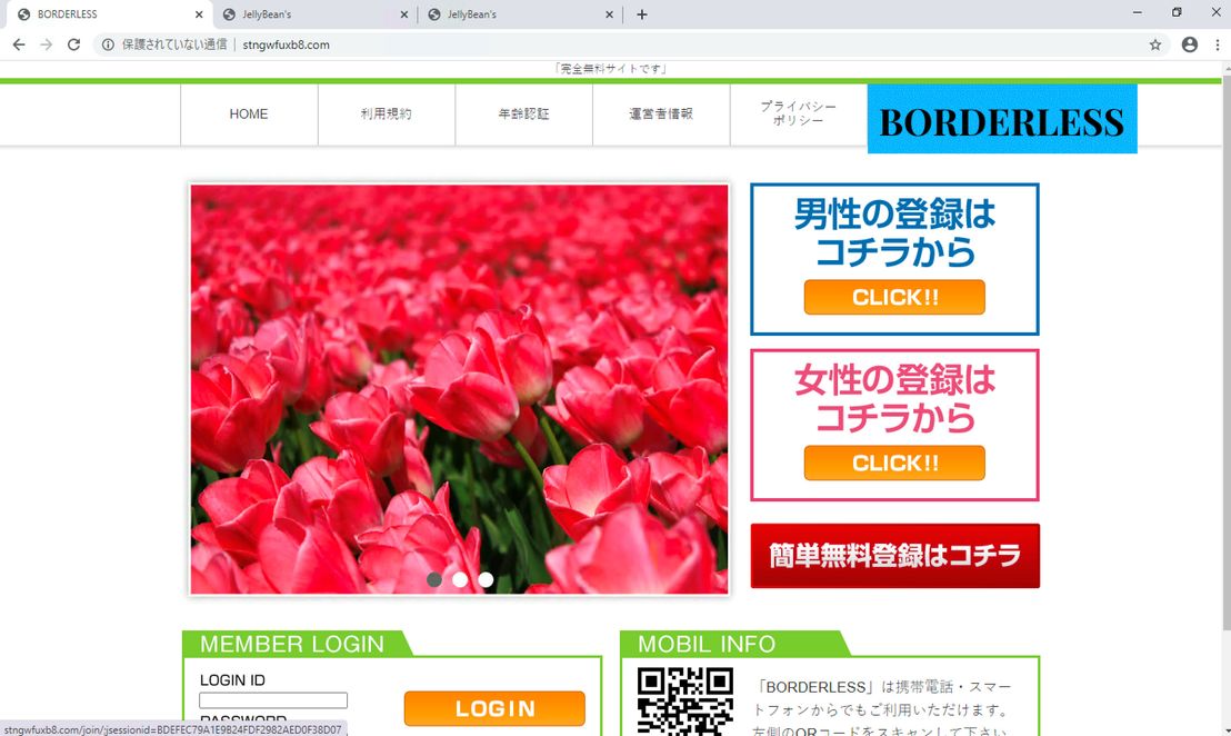 Figure 2. Fraudulent online dating websites with similar layouts