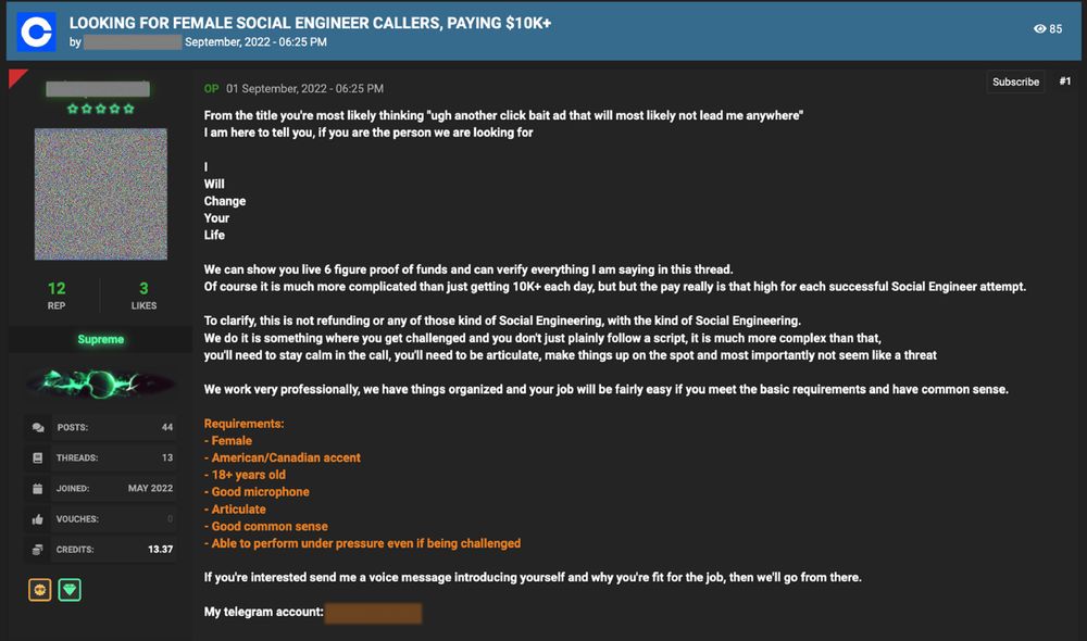 Figure 19. Social engineering scam job posting with very specific requirements