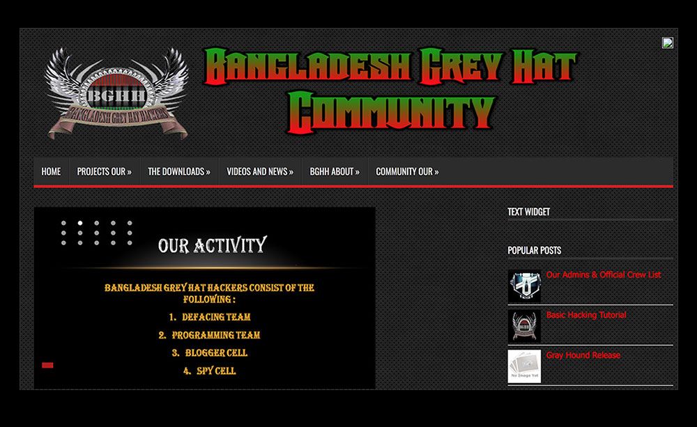 Example of a community site hosting forums, downloads, news and more