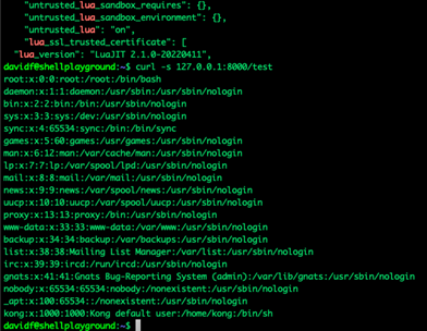 Figure 13. Example of possible RCE when untrusted Lua is enabled