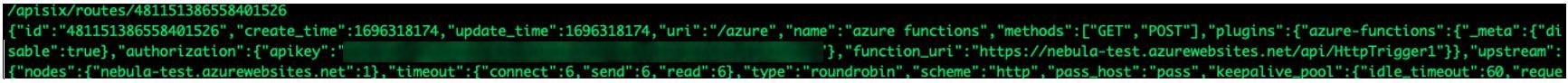 Figure 10. A plaintext key exposed within a custom Azure Functions container image.