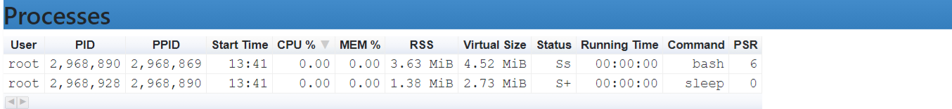 Figure 5. Output of “ps” command in the Docker container as seen on the web UI