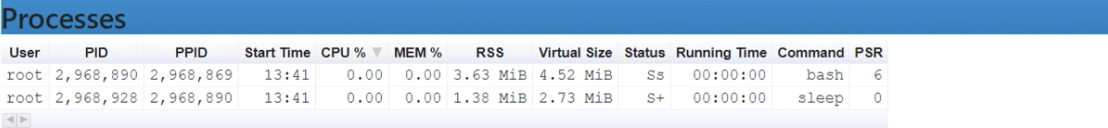 Figure 5. Output of “ps” command in the Docker container as seen on the web UI