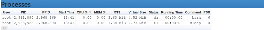 Figure 5. Output of “ps” command in the Docker container as seen on the web UI
