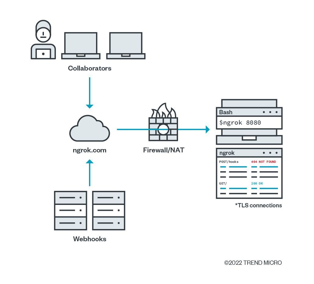 Figure 6. An overview of how ngrok works