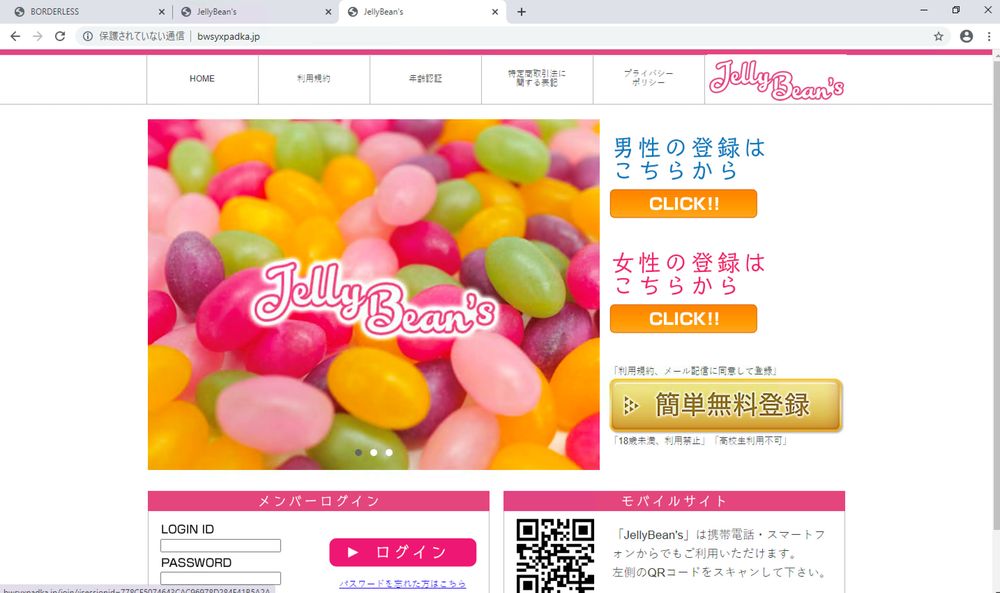 Figure 3. Different websites with exactly the same layout
