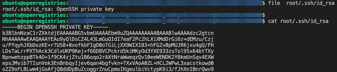 Figure 9. Content of the private key present inside the container image