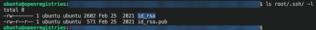Figure 8. SSH private and public keys are also present inside the imaged