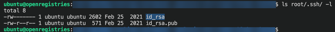 Figure 8. SSH private and public keys are also present inside the imaged