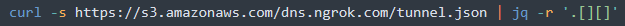 Figure 25. The Bash command to list all IP addresses associated with ngrok that are being used to establish a tunnel