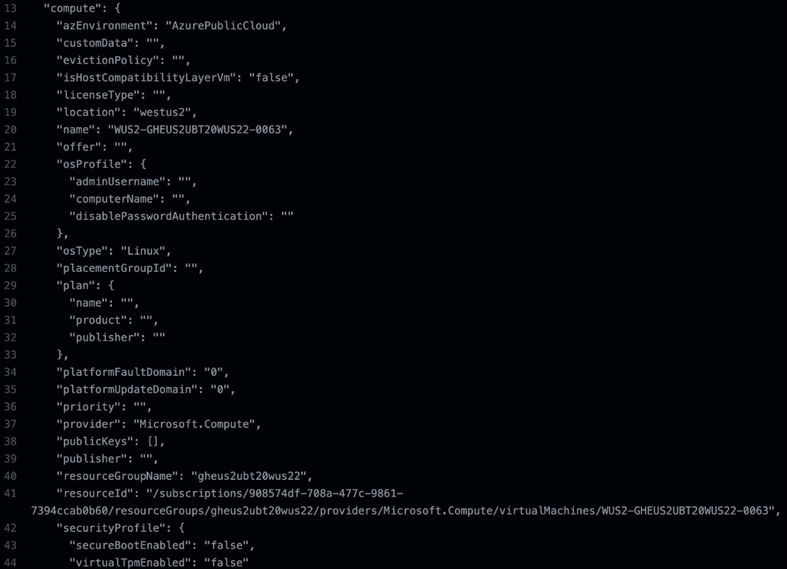 Trimmed output from the IMDS endpoint request inside GHA