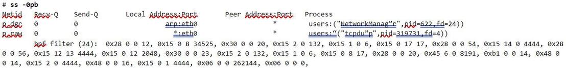 Figure 18. Output from ss tool showing a cBPF filter loaded by tcpdump process