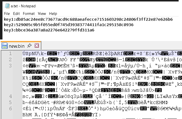Figure 19. The a.txt file contains the keys to decrypt the obfuscated binary file new.bin, identified as AsyncRAT.