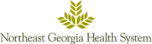Northeast Georgia Health System logo