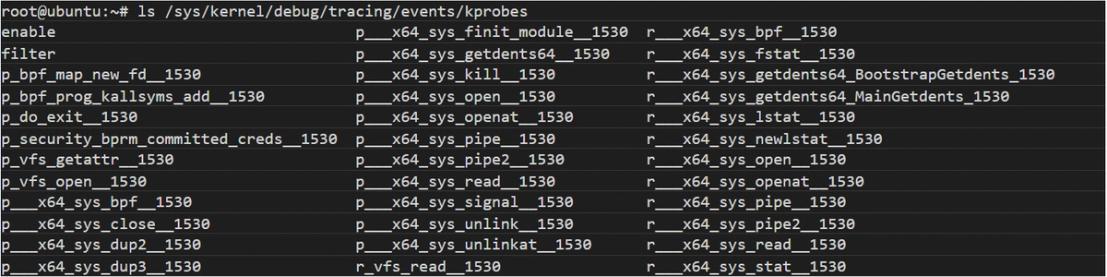 Figure 4. Output from a system infected with ebfkit