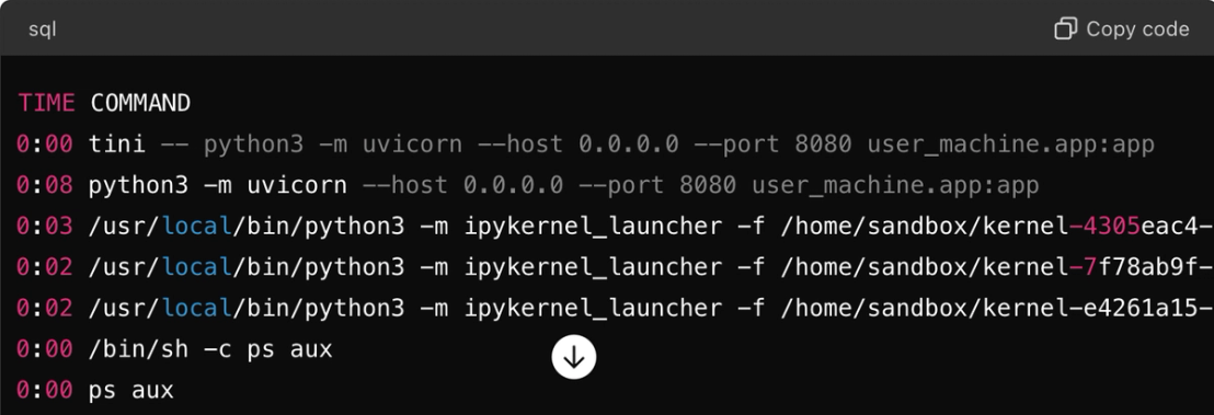 Process list of where uvicorn hosts FastAPI in the sandbox