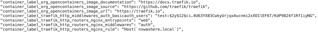 Figure 15. Container labels from cAdvisor containing Traefik routing configuration