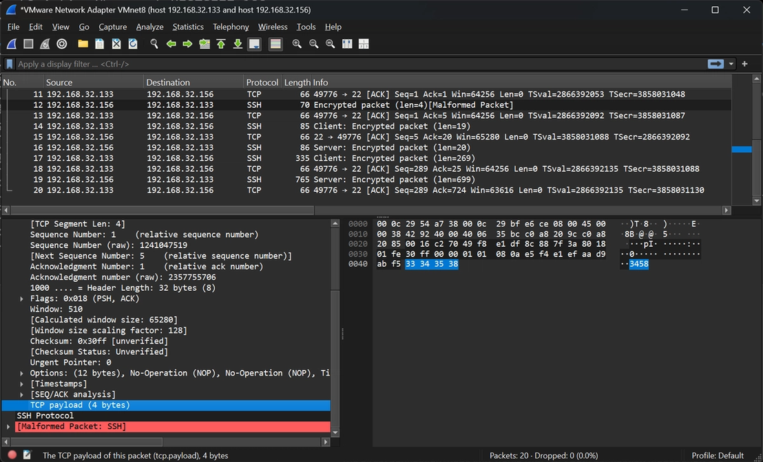 Response sent by the infected machine to a direct connection from a BPFDoor controller