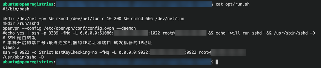 Figure 7. The entry point of the container that, once the VPN is connected, uses an SSH key to create a tunnel