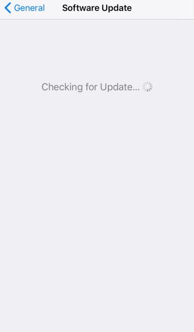 Figure 1. Screenshot of iOs checking for update