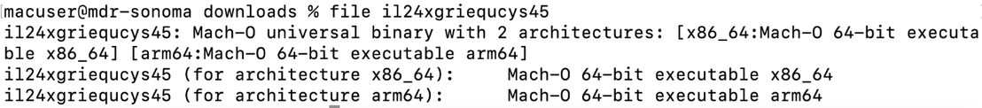 Figure 4. Details of the il24xgriequcys45 universal binary file