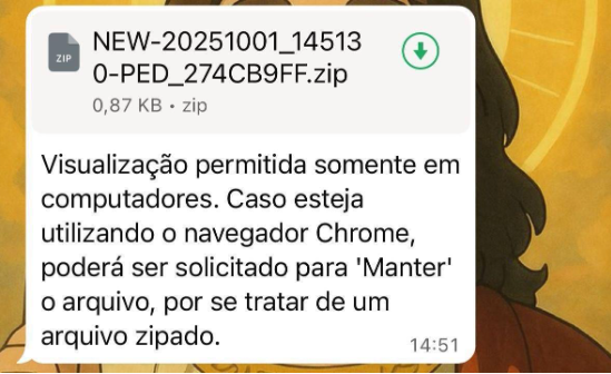 Figure 31. Actual WhatsApp message from https://x.com/dilacer8/status/1973474128557646271 