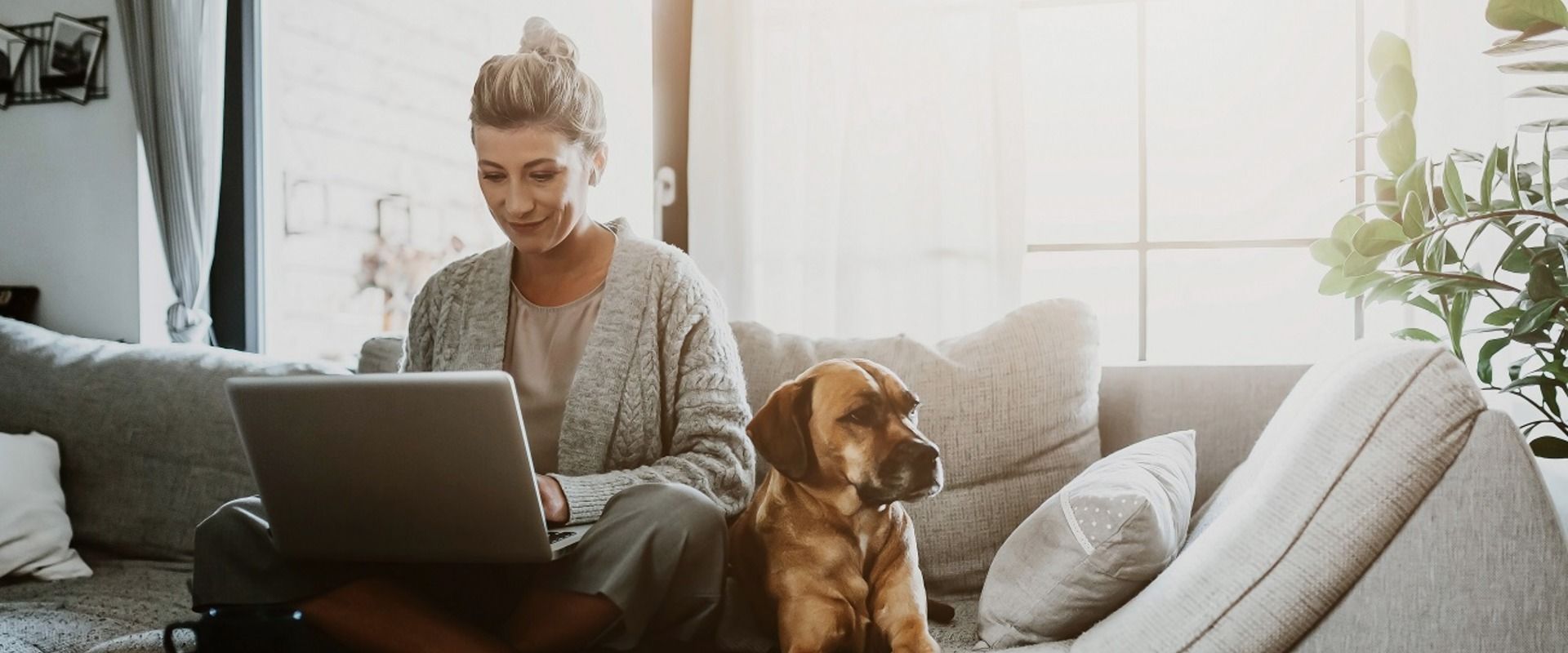 Bridging Security Gaps in WFH and Hybrid Setups