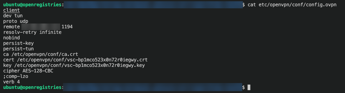 Figure 6. OpenVPN configuration file with certificate and key