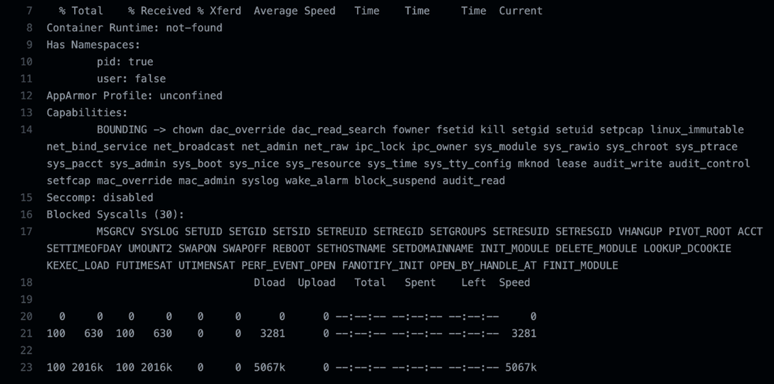amicontained showing that the Ubuntu runner was not in a container.