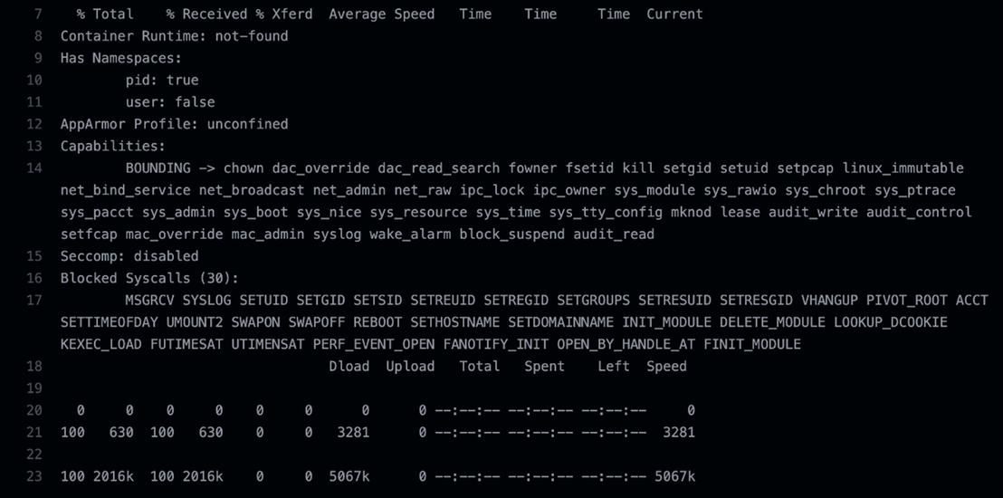 amicontained showing that the Ubuntu runner was not in a container.