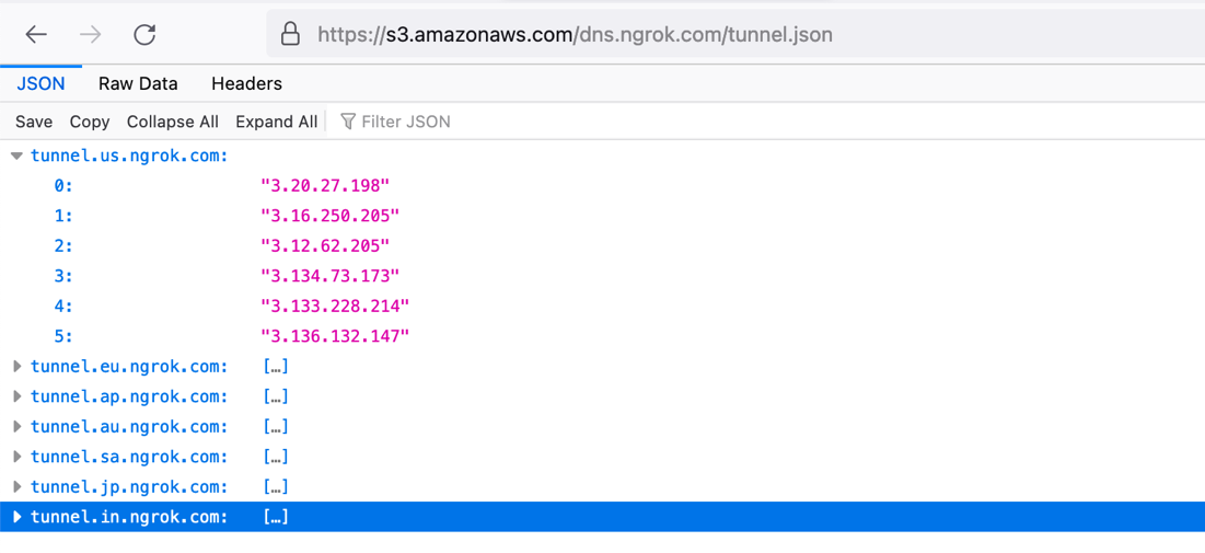 Figure 12. A JSON file hosted on an Amazon S3 bucket with the IP addresses of tunnel.REGION.ngrok.com
