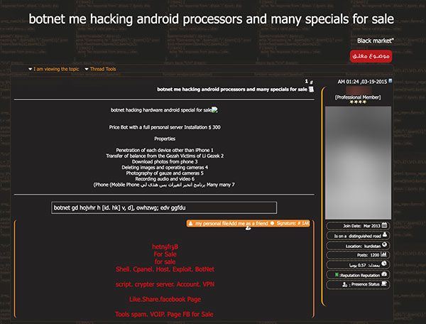 Botnets